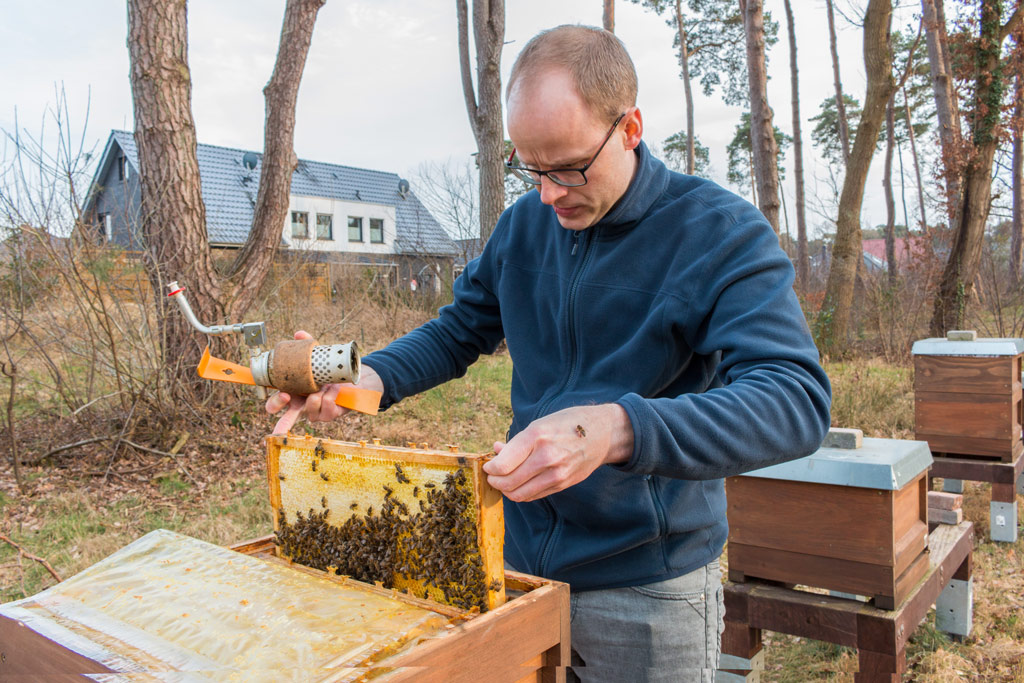 Residential Beekeeper in Michigan